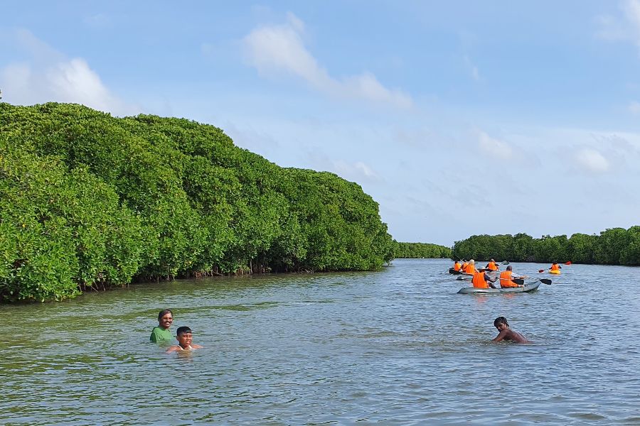 5. Opening page - mangroves kayaks.jpg